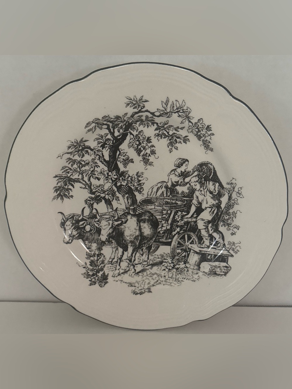 Tabletops unlimited black & white toile salad plate